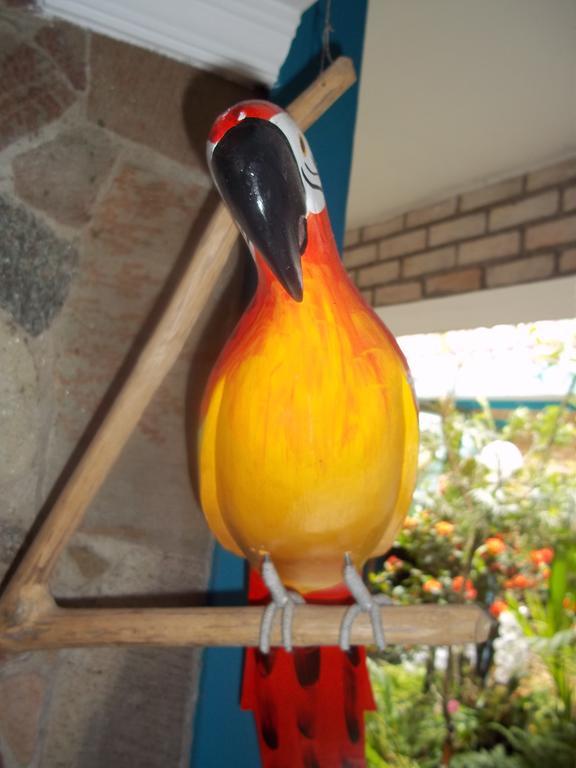 Pousada Riacho Doce Caraguatatuba Zimmer foto